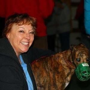 Meet your Posher, Robin